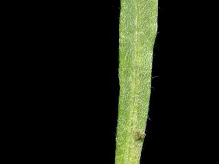 Img.VTax2309.ExN.Img4