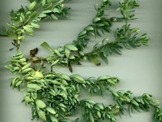 Img.VTax2319.ExN.Img7