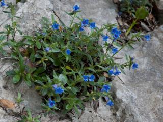 Img.VTax2322.ExN.Img3