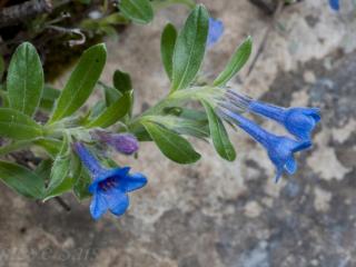 Img.VTax2322.ExN.Img4