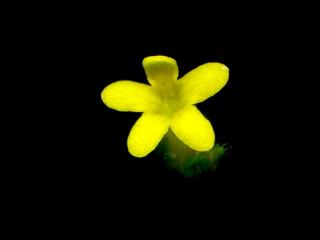 Img.VTax2328.ExN.Img10