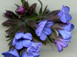 Img.VTax2346.ExN.Img4