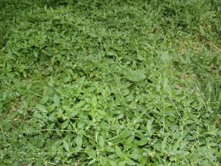 Img.VTax2356.ExN.Img3