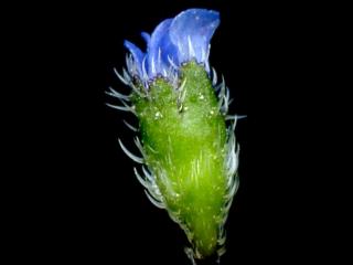Img.VTax2356.ExN.Img7