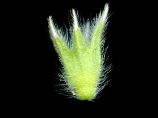 Img.VTax2449.ExN.Img14