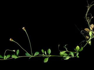 Img.VTax2543.ExN.Img4