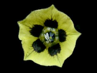 Img.VTax2554.ExN.Img9
