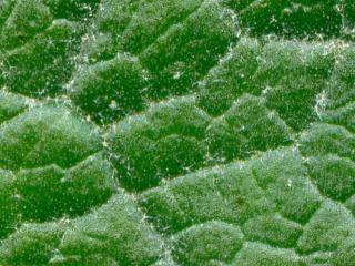 Img.VTax2588.ExN.Img7