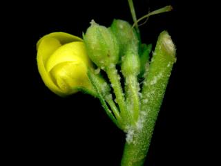 Img.VTax2589.ExN.Img9