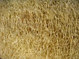 Img.VTax2933.ExN.Img9