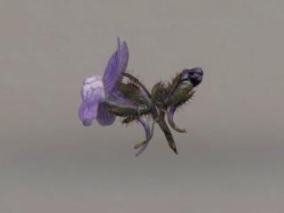 Img.VTax2627.ExN.Img5