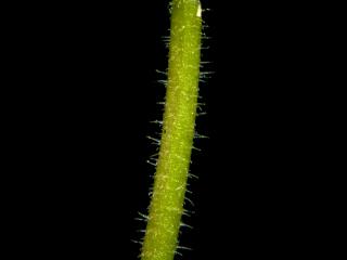 Img.VTax2675.ExN.Img3