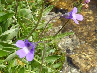 Img.VTax2761.ExN.Img3