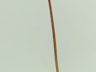 Img.VTax2761.ExN.Img7