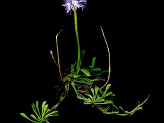 Img.VTax2777.ExN.Img9