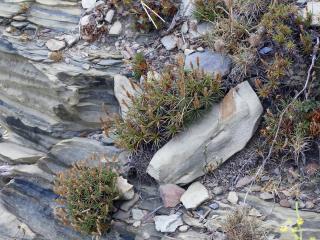 Img.VTax2789.ExN.Img3