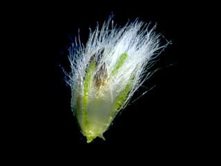 Img.VTax2800.ExN.Img9