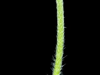 Img.VTax2806.ExN.Img6