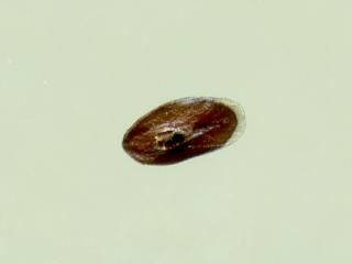 Img.VTax2807.ExN.Img9