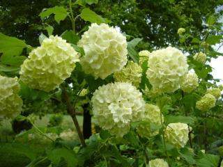 Img.VTax2864.ExN.Img6