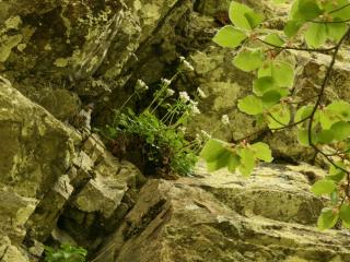 Img.VTax2899.ExN.Img8