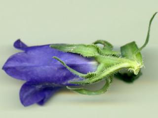Img.VTax2940.ExN.Img8