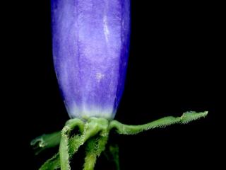 Img.VTax2940.ExN.Img9