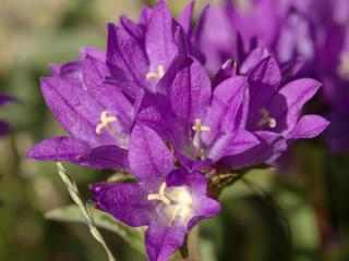 Img.VTax2942.ExN.Img16