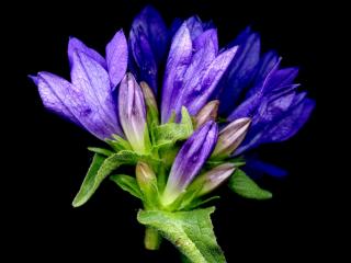 Img.VTax2942.ExN.Img17