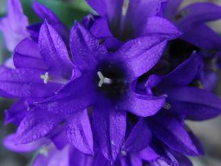 Img.VTax2942.ExN.Img9