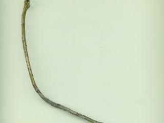 Img.VTax3091.ExN.Img14