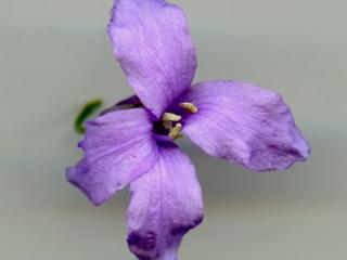 Img.VTax1073.ExN.Img11
