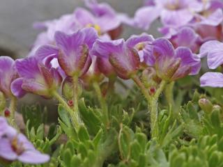 Img.VTax1213.ExN.Img3