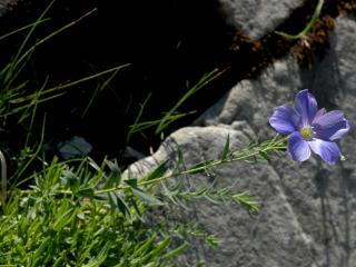 Img.VTax1410.ExN.Img6