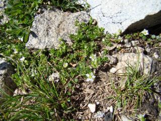 Img.VTax1875.ExN.Img3