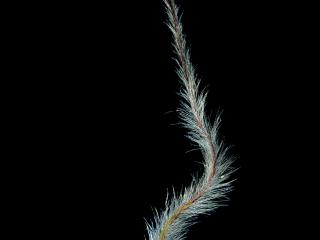 Img.VTax193.ExN.Img9