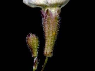 Img.VTax2014.ExN.Img7