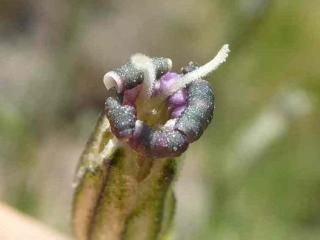 Img.VTax2015.ExN.Img3
