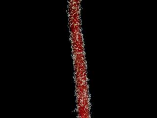 Img.VTax2178.ExN.Img5