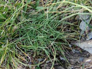 Img.VTax2227.ExN.Img4