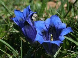 Img.VTax2276.ExN.Img3
