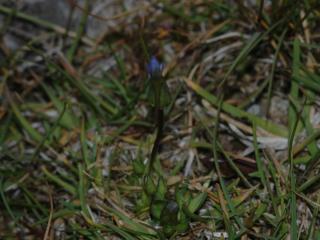 Img.VTax2284.ExN.Img6