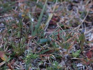 Img.VTax2284.ExN.Img9