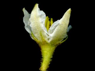 Img.VTax2569.ExN.Img12