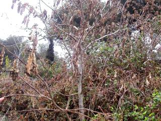 Img.VTax2569.ExN.Img6