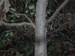 Img.VTax2569.ExN.Img7