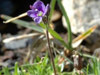 Img.VTax2653.ExN.Img3