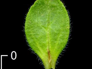Img.VTax2653.ExN.Img7