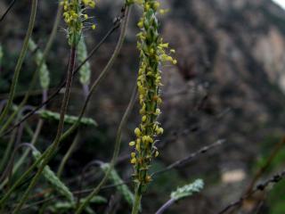 Img.VTax2788.ExN.Img6