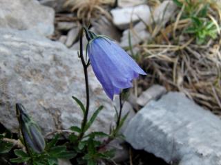 Img.VTax2947.ExN.Img4